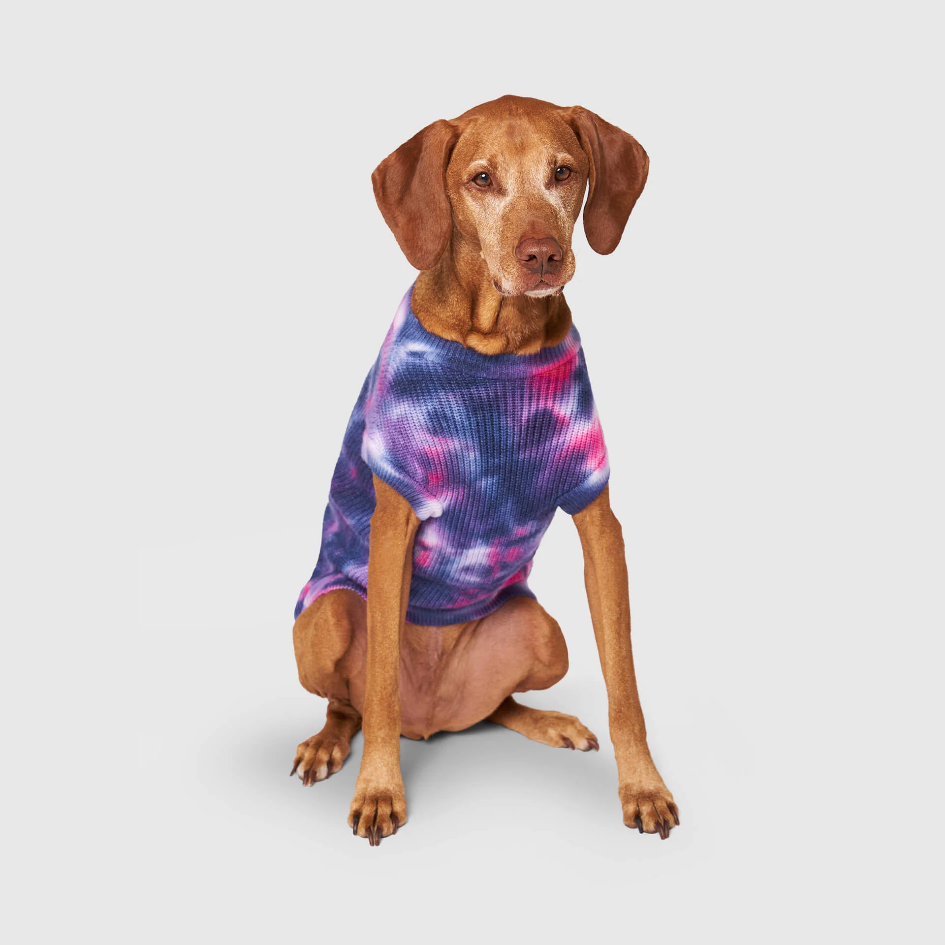 F/W End of Season Sale